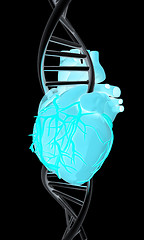 Image showing DNA and heart. 3d illustration