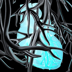 Image showing Human heart and veins. 3D illustration.