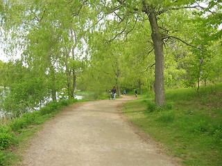 Image showing Pathway