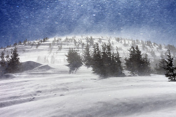 Image showing Blizzard in snow winter mountains