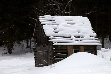 Image showing Old wooden hut covered with new-fallen snow in winter forest at 