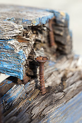 Image showing old rusty screw