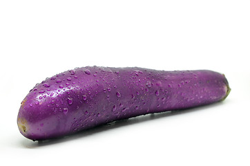 Image showing Purple eggplant with water drop