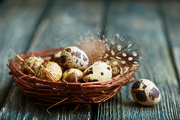 Image showing quail eggs