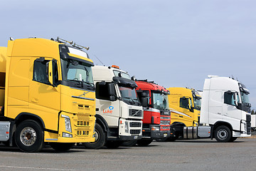 Image showing Line Up of Colorful Semi Trucks