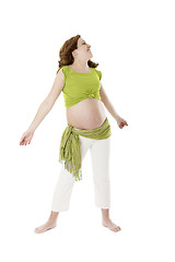 Image showing Pregnancy