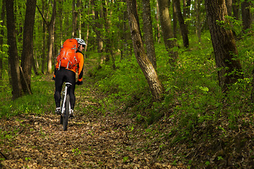 Image showing healthy lifestyle and fitness concept with mount bike man outdoor