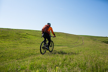 Image showing Cyclist on the Beautiful Meadow Trail