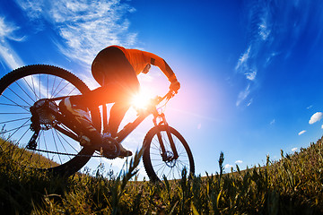 Image showing Cyclist on the Beautiful Meadow Trail