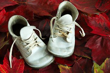 Image showing Baby Shoes and Fall Leaves