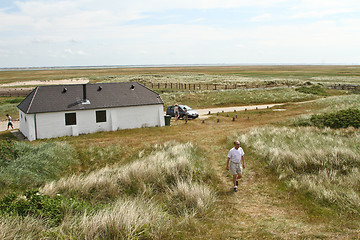 Image showing House and horses in a Danish landscapes in the summer