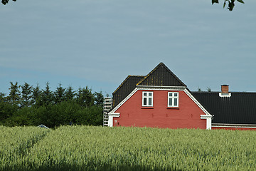 Image showing Red house in Danish landscapes in the summer