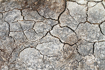 Image showing Cracked earth in a Danish landscapes in the summer