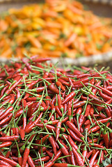 Image showing Red and yellow chilipepper