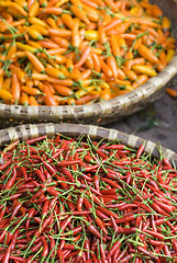 Image showing Red and yellow cilipepper