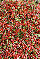 Image showing Red, hot chilipepper