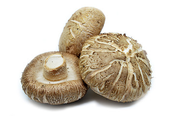 Image showing Brown Shiitake mushrooms