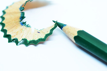 Image showing Sharpened green color pencil and wood shavings