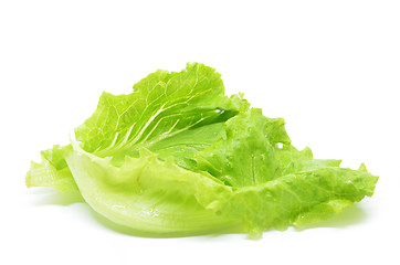 Image showing Green Chinese lettuce