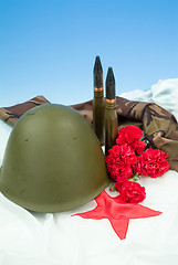 Image showing Flowers And Army Equipment