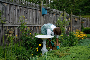 Image showing Gardener