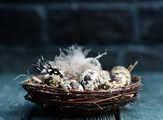 Image showing quail eggs