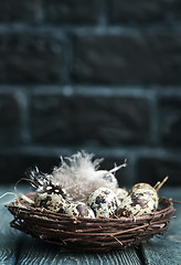 Image showing quail eggs