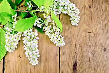 Image showing Bird cherry blossoming on background of boards