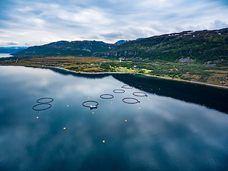 Image showing Farm salmon fishing