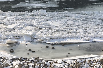 Image showing Large Icebergs at Danube river