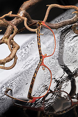 Image showing Glasses And Branches