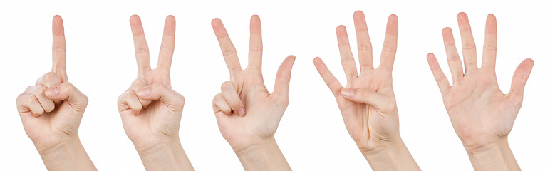 Image showing Hand gestures counting from 1 to 5