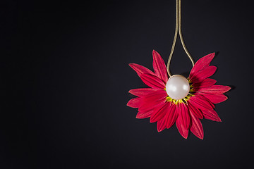 Image showing White pearls necklace over red petals on black