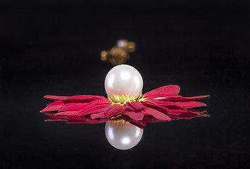 Image showing White pearls necklace over red petals on black