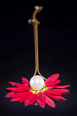 Image showing White pearls necklace over red petals on black