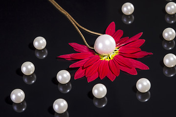 Image showing White pearls necklace on black background