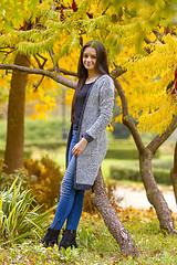 Image showing portrait of pretty teen girl in autumn park