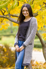 Image showing portrait of pretty teen girl in autumn park  