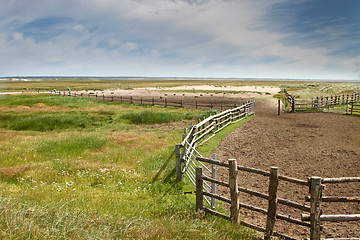 Image showing Fence in a Danish landscapes in the summer