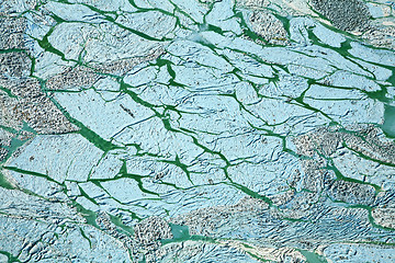 Image showing Blue-green algae on a lake in denmark