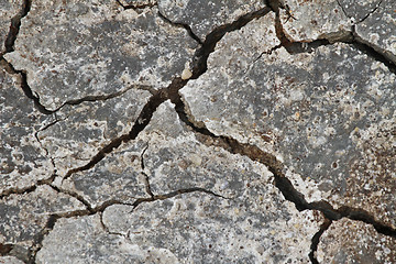 Image showing Cracked earth in a Danish landscapes in the summer