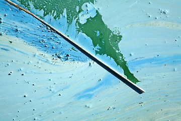 Image showing Blue-green algae on a lake in denmark