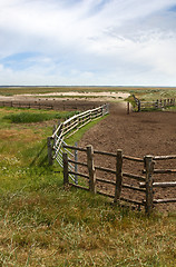 Image showing Fence in a Danish landscapes in the summer