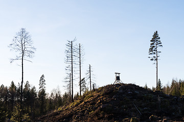 Image showing Hunting tower in the woods