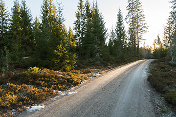 Image showing Gravel road through the woods