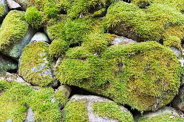 Image showing Mossy stone wall detail