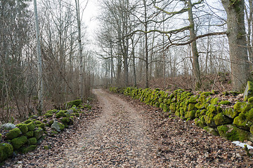 Image showing Mossy stone walls along a country road