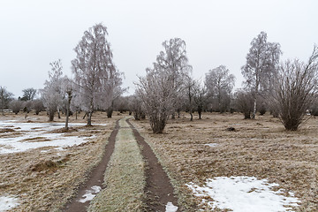 Image showing Country road into a frosty landscape