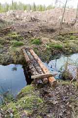 Image showing Timbered footbridge across a small creek