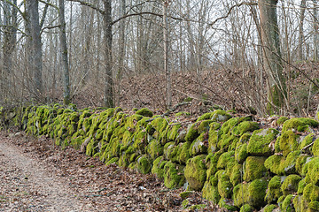 Image showing Moss-grown stone wall